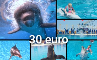 DELFINARIUM
